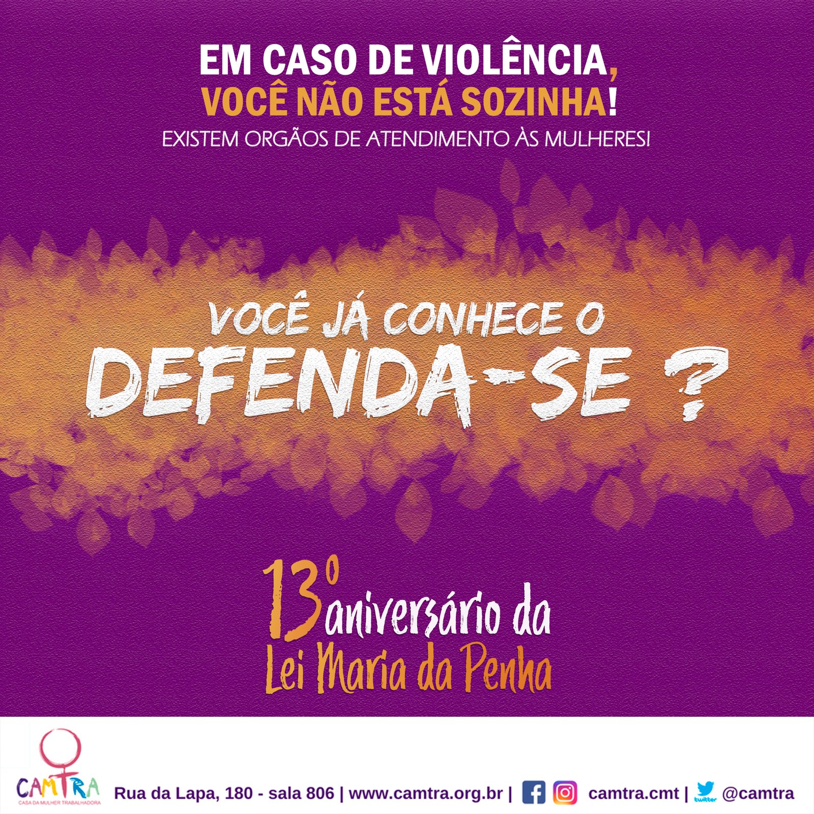 Leia mais sobre o artigo 07 de Agosto – 13 Anos da Lei Maria da Penha