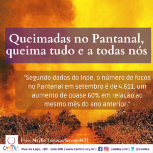 Leia mais sobre o artigo Queimadas no Pantanal